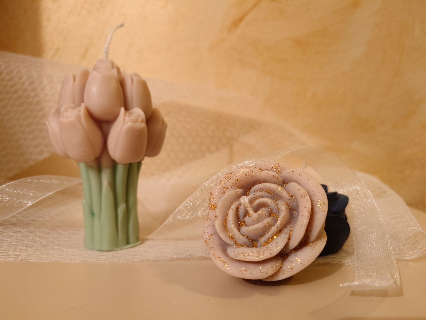 Tulipani