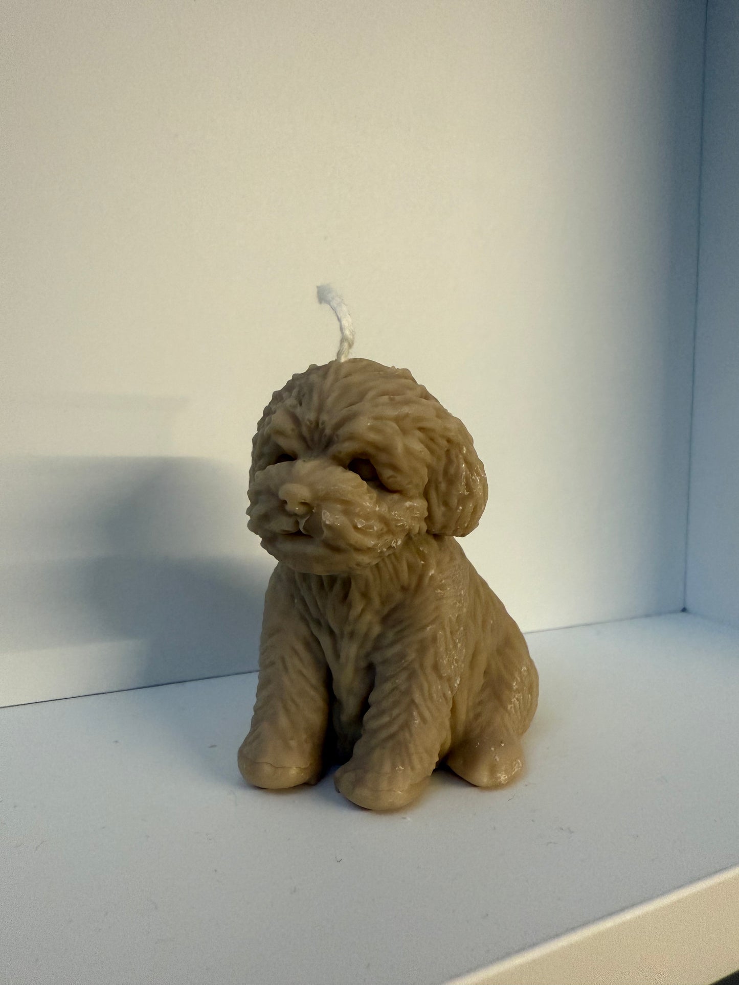 Dear Dog