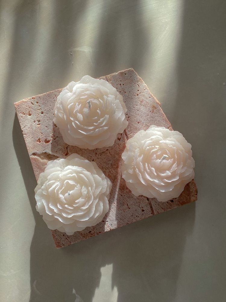 Peonia
