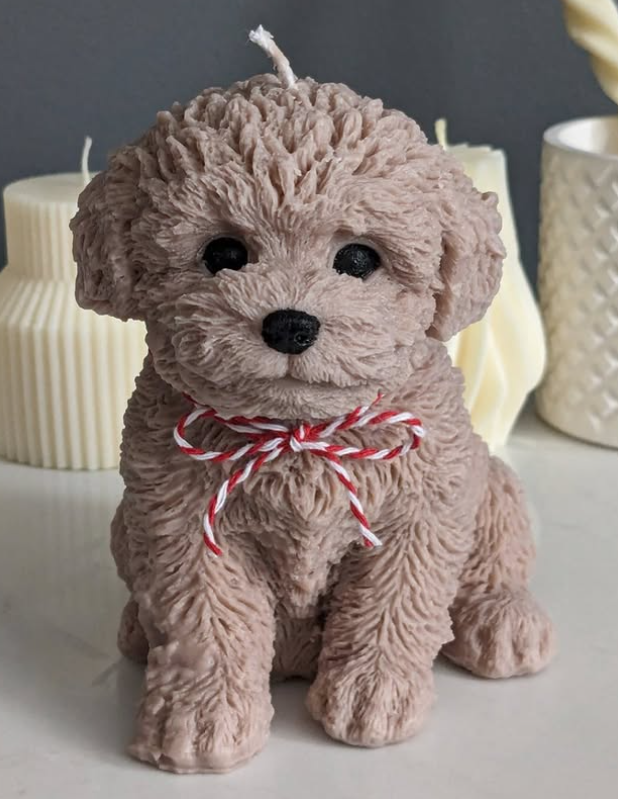 Dear Dog