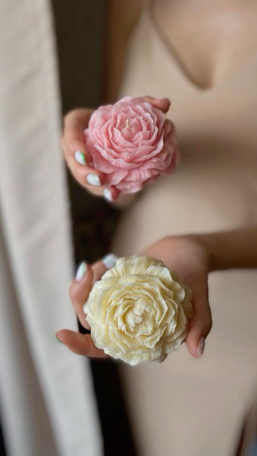 Peonia
