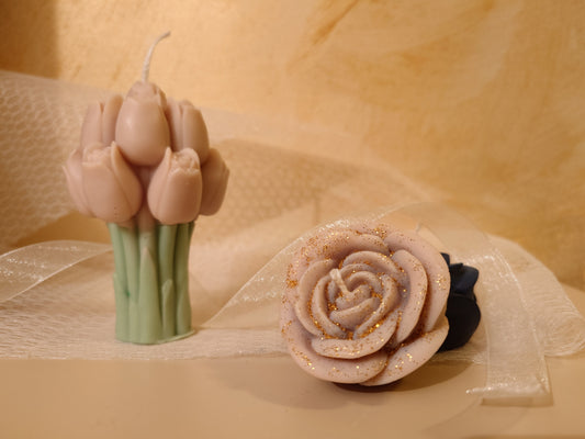 Tulipani