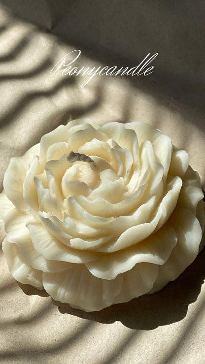 Peonia