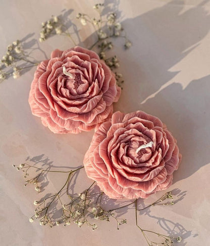 Peonia