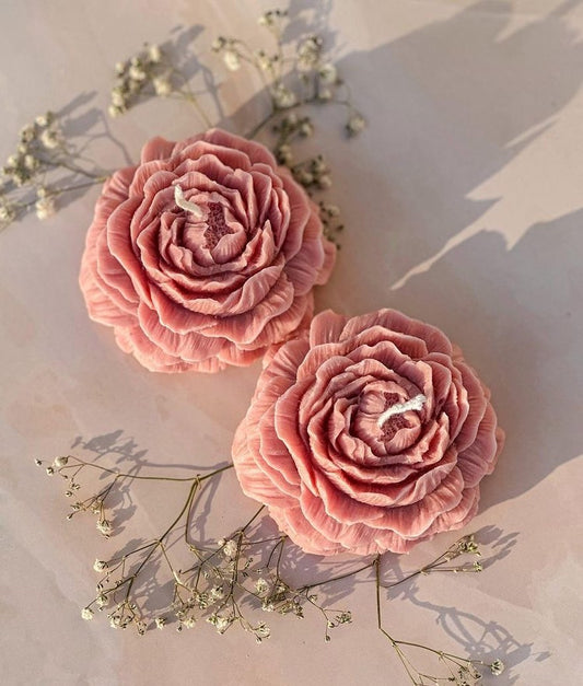 Peonia